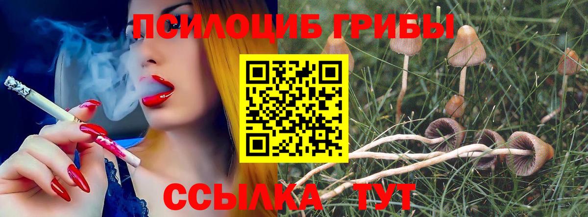Галлюциногенные грибы ЛСД  где продают   Кимовск  Вход с VPN 